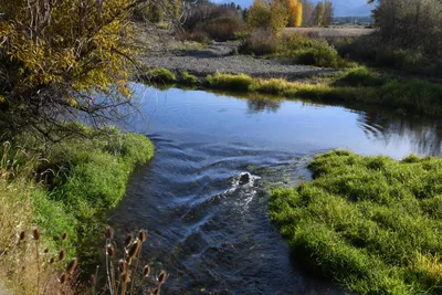 DSC_6510 (Large).JPG